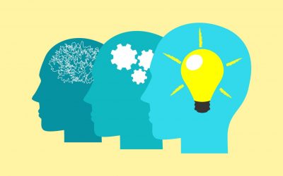 The COVID 19 stimulus and support measures